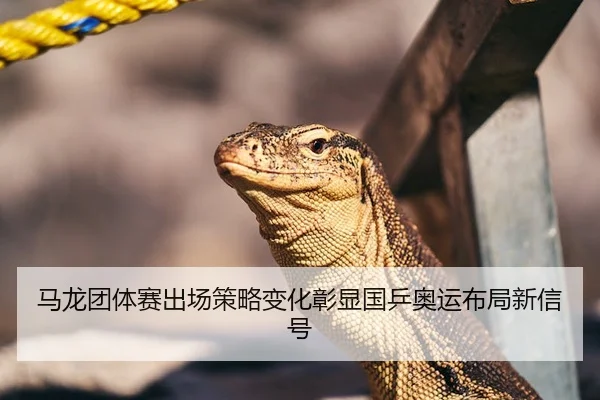 马龙团体赛出场策略变化彰显国乒奥运布局新信号