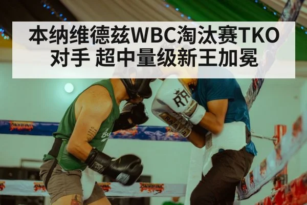 本纳维德兹WBC淘汰赛TKO对手 超中量级新王加冕