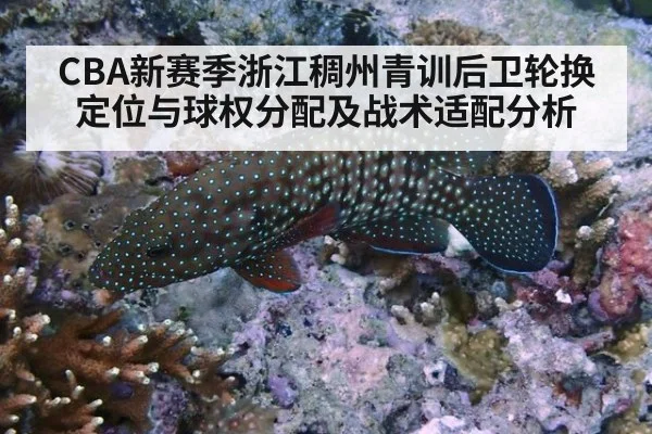 CBA新赛季浙江稠州青训后卫轮换定位与球权分配及战术适配分析