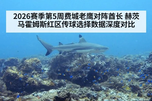 2026赛季第5周费城老鹰对阵酋长 赫茨马霍姆斯红区传球选择数据深度对比